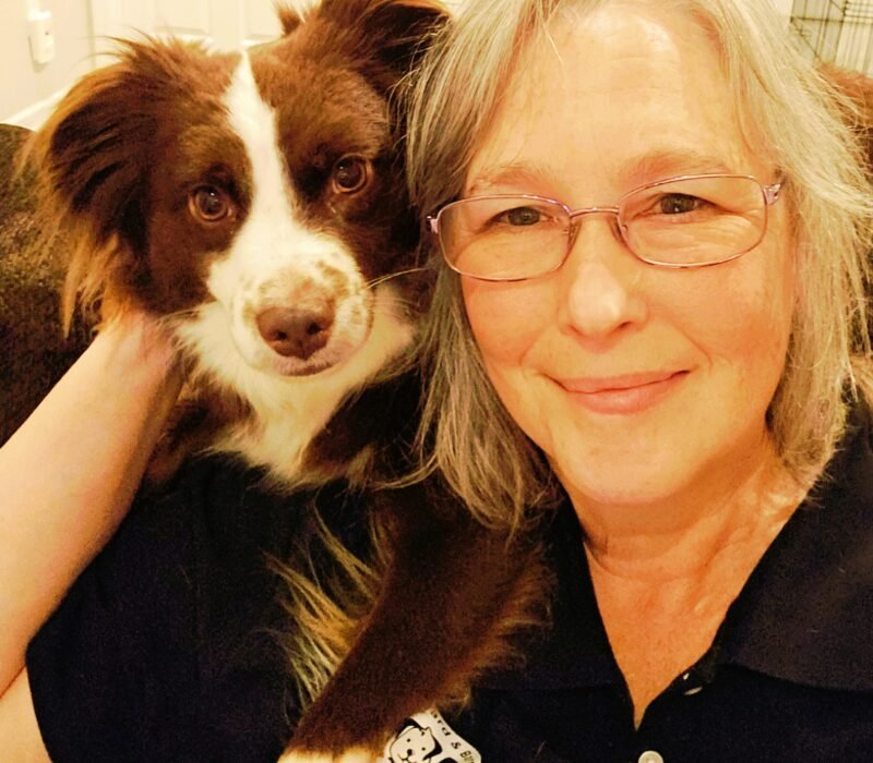 Dog Sitting