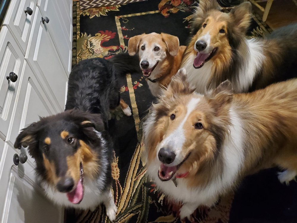 Winston, Crosby, Desi, Gatsby, Cagney Ga