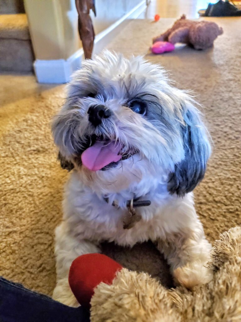 Bella