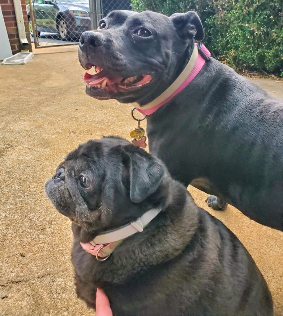 Jazzy, Dory