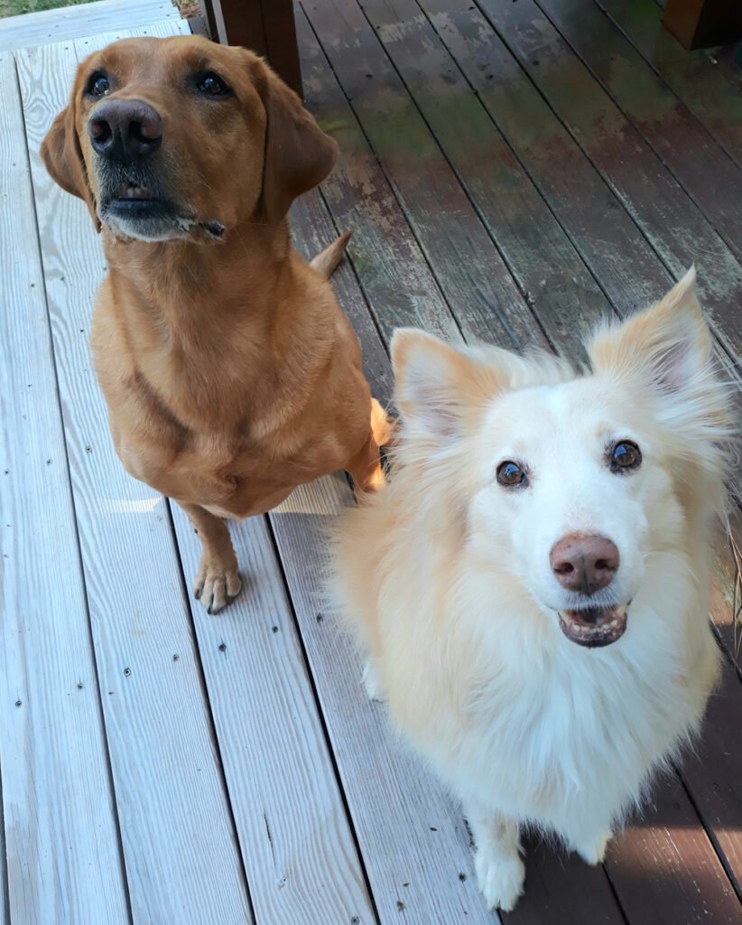 Rio & Milo