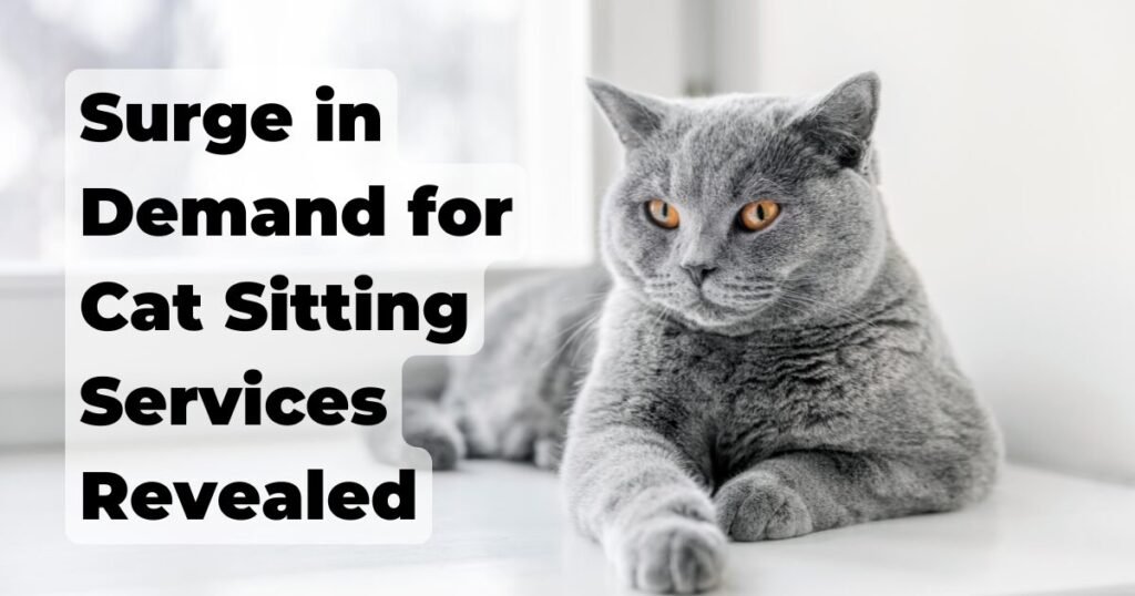 Surge in Cat Sitting Services