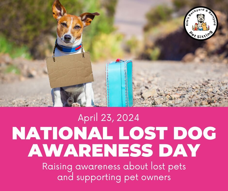 National Lost Dog Awareness Day