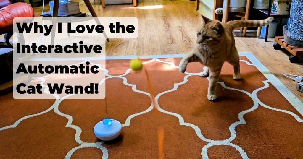 Interactive Automatic Cat Wand