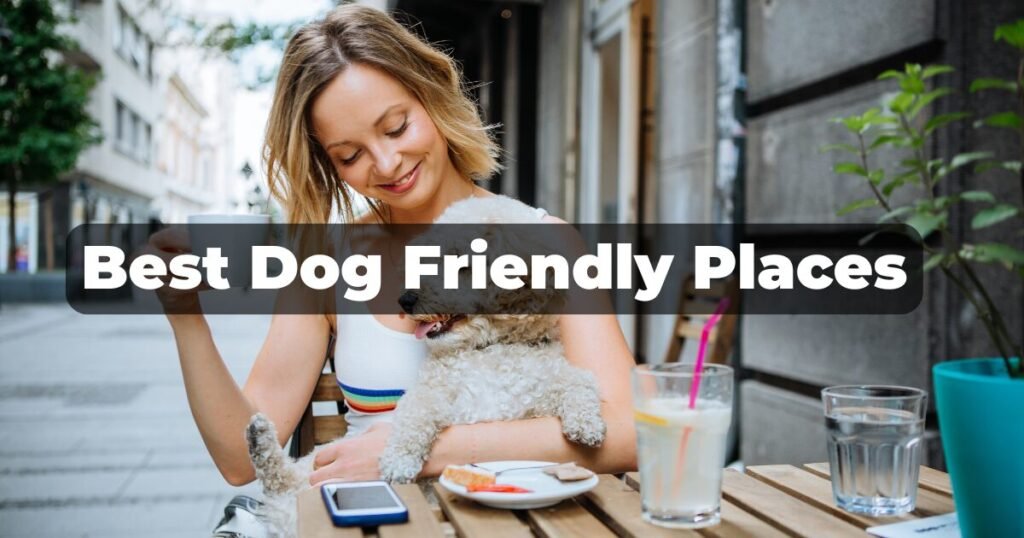 Best Dog-Friendly Restaurants, Cafes, and Bars in Winston-Salem & Kernersville