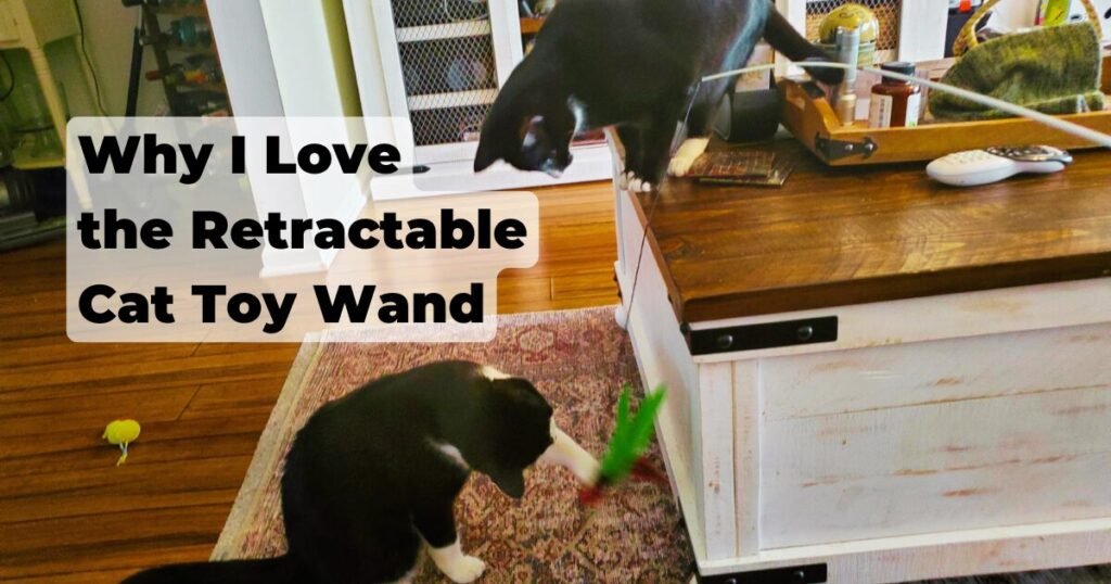 Why I Love the Retractable Cat Toy Wand