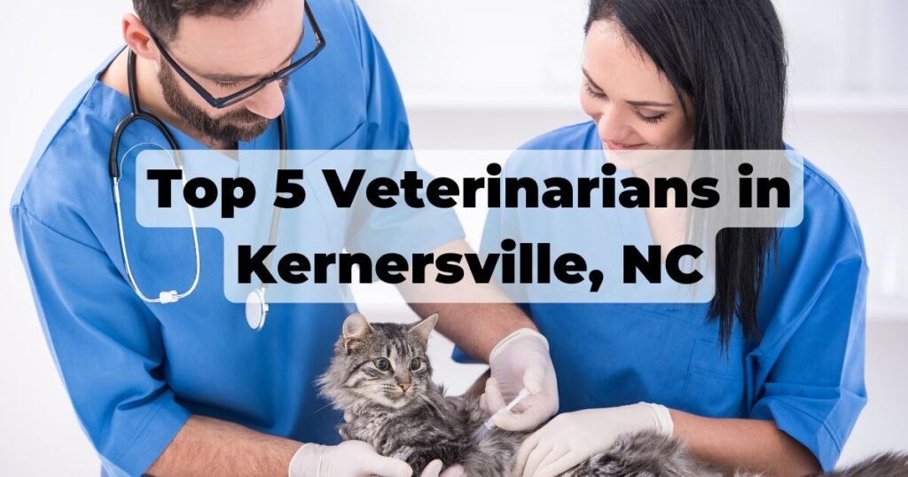 Top 5 Veterinarians in Kernersville, NC