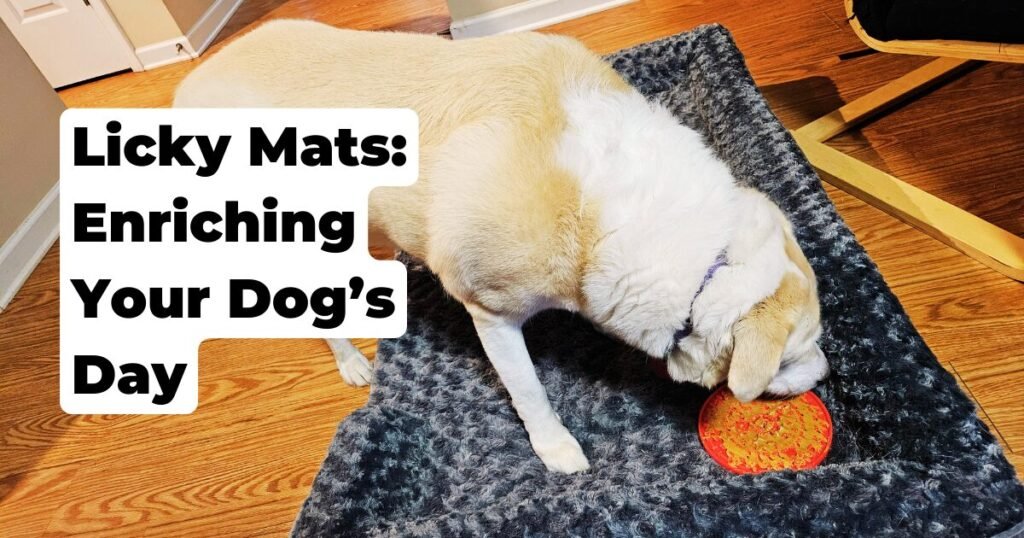 Licky Mats: Enriching Your Dog’s Day