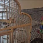 client reviews,trustworthy,updates,pictures,videos